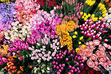 CDPR：没有《2077》最初失败 往日之影就不会如此出色